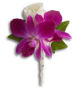 An exotic orchid meets its match in a radiant white rose.