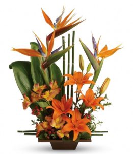 Looking for something with a bit of Zen? With tall bamboo and birds of paradise complemented by a stunning mix of tropical orange flowers and greenery in a graceful bamboo container, this bouquet is it.