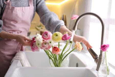 Woman taking care of cut fresh ranunculus flowers in kitchen, closeup